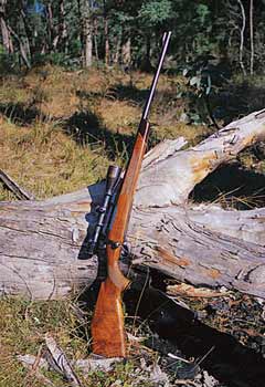 Leaning a rifle on a log like this is begging for trouble. It will fall over given half a chance - and the scope will probably suffer.
