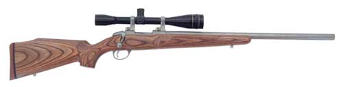 Sako 75 Varmint Laminated Stainless .223