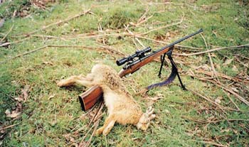 There are a large variety of standard cartridges suitable for Australia’s small to medium game animals