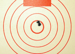 Target for testing cleaned firearm