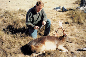 Hunting fallow deer for venison - by Anton Jurasovic - SSAA