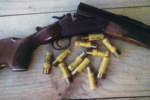The 20-gauge shotgun is not as popular as the 12-gauge, but rest assured it will perform just as well as the 12-gauge on rabbits over normal ranges, with the extra benefit of being far lighter to carry