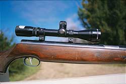 Choosing a scope for an air rifle or .22 rifle