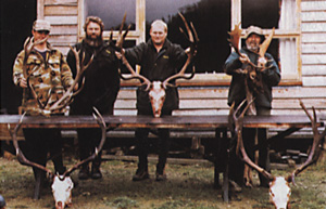 An Aussie contingent with a big haul from a game ranch on the South Island - taken with everything from a 7x57 to a .300 Win Magnum.